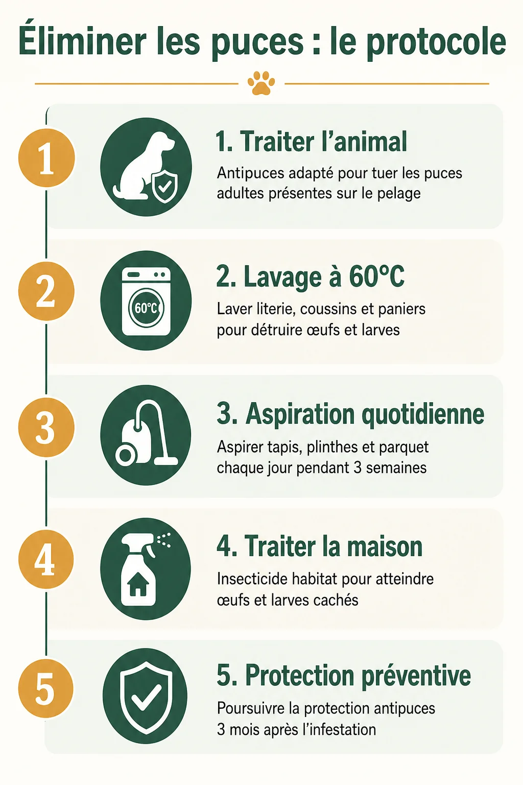 Éliminer les puces : le protocole : 1. Traiter l'animal, 2. Lavage à 60°C, 3. Aspiration quotidienne, 4. Traiter la maison, 5. Protection préventive